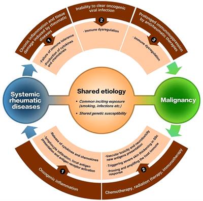 Malignancies in systemic rheumatic diseases: A mini review